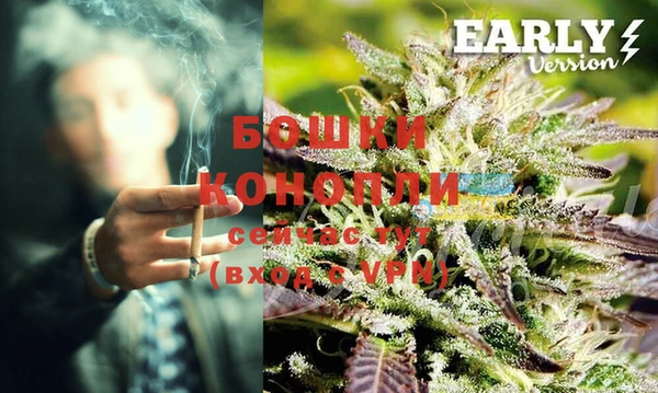 первитин Вяземский