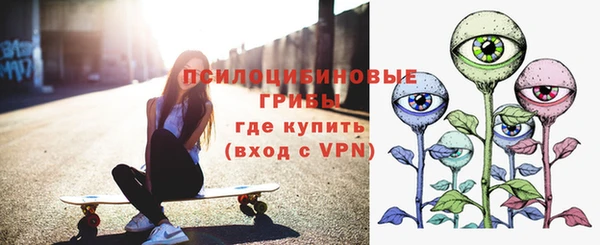 первитин Вяземский