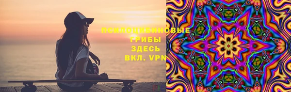 первитин Вяземский